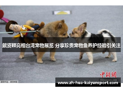 戴资颖亮相台湾宠物展览 分享珍贵宠物鱼养护经验引关注