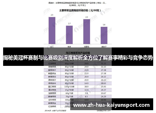 揭秘美冠杯赛制与比赛级别深度解析全方位了解赛事精彩与竞争态势