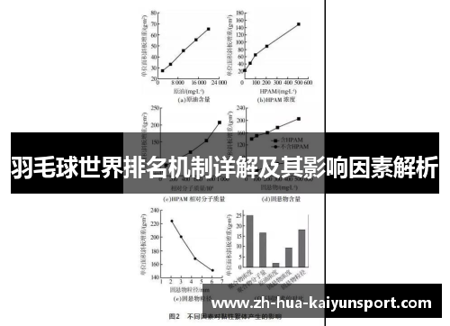 羽毛球世界排名机制详解及其影响因素解析